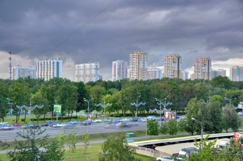 Image 365Project_Day215.jpeg