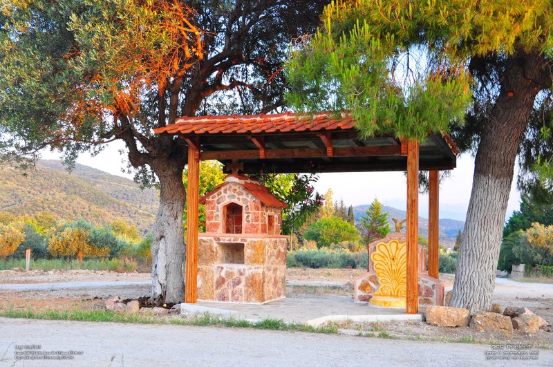 Image 365Project_Day219.jpeg