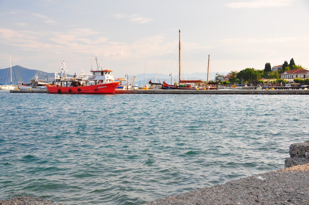 Image 365Project_Day220.jpeg