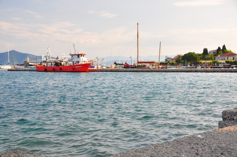 Image 365Project_Day220.jpeg