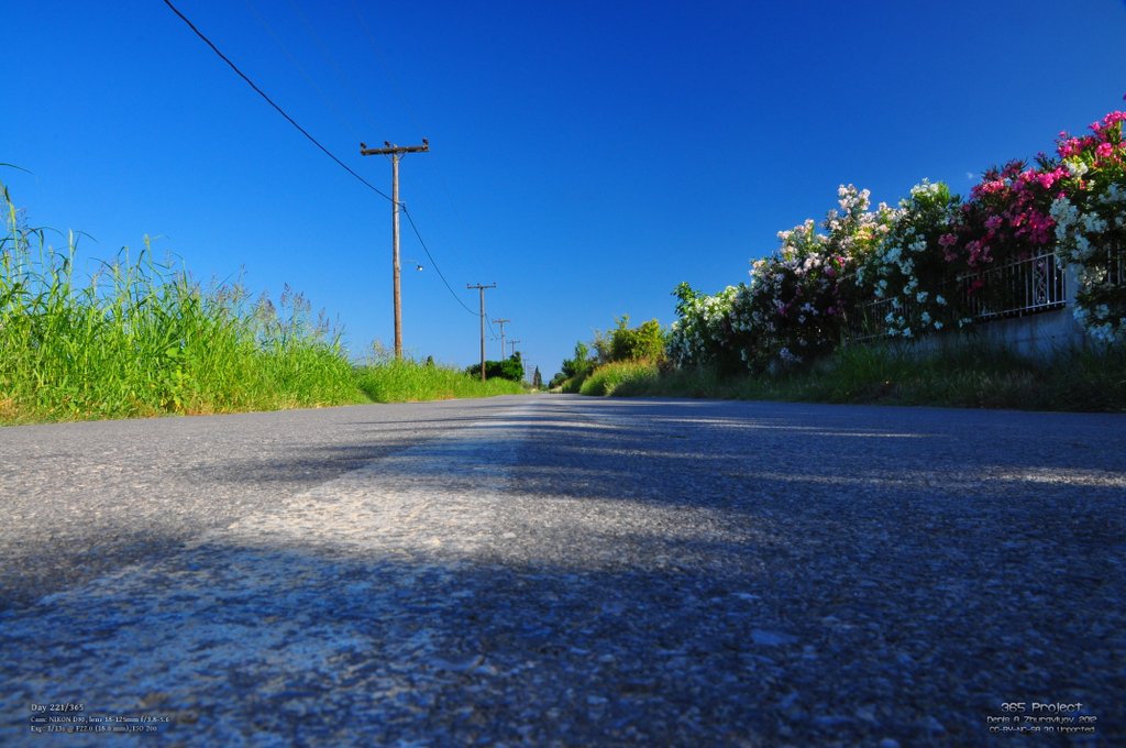 Image 365Project_Day221.jpeg