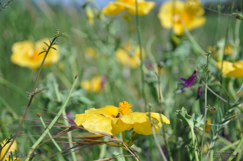 Image 365Project_Day222.jpeg