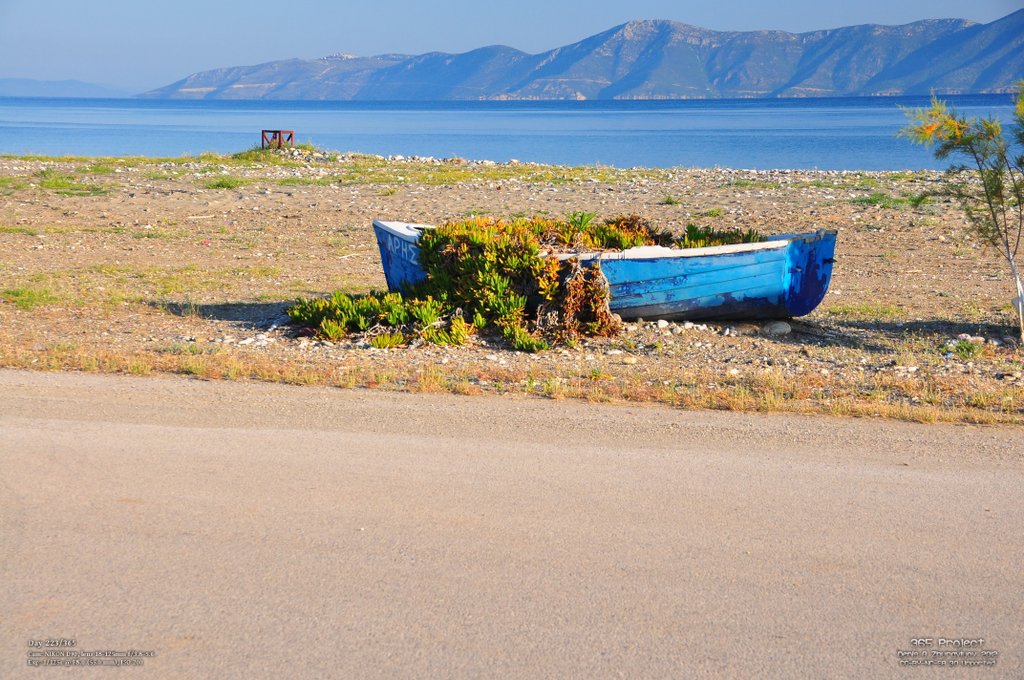 Image 365Project_Day223.jpeg