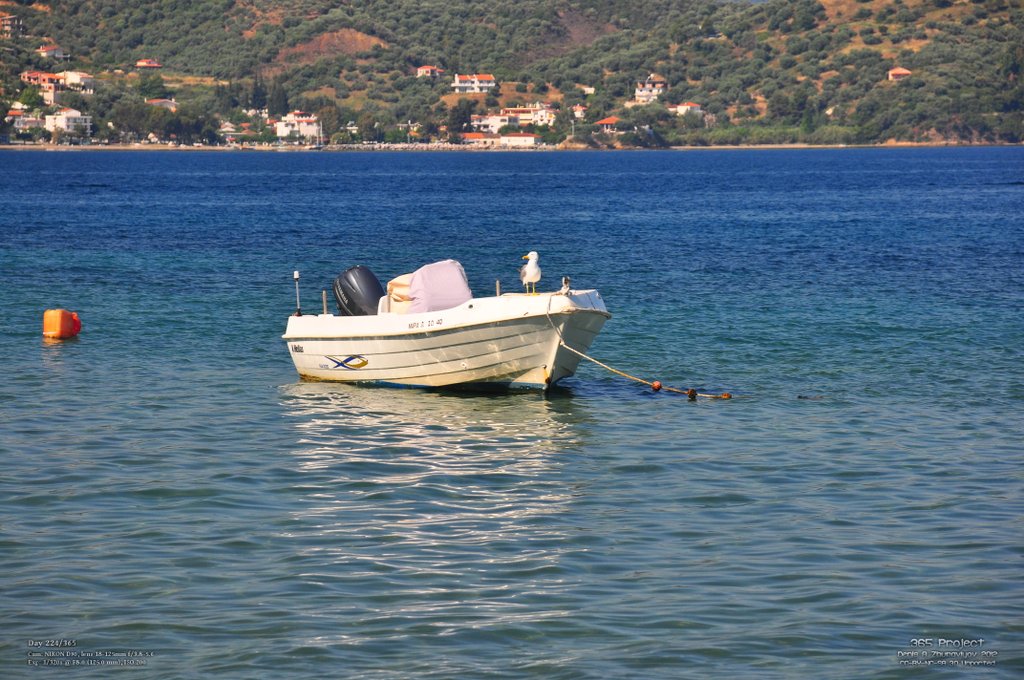 Image 365Project_Day224.jpeg