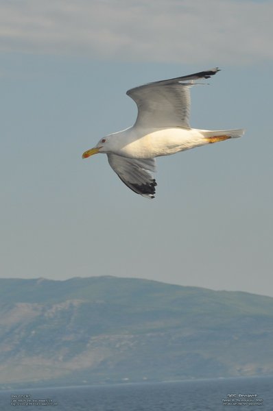 Image 365Project_Day225.jpeg