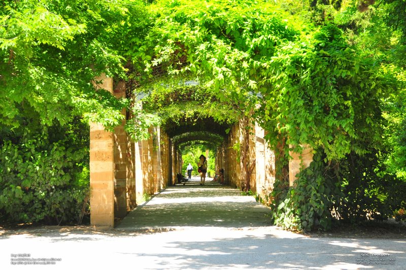 Image 365Project_Day226.jpeg