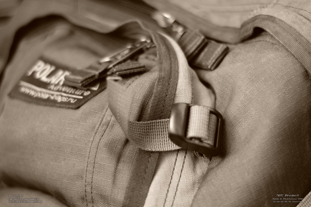 Image 365Project_Day229.jpeg