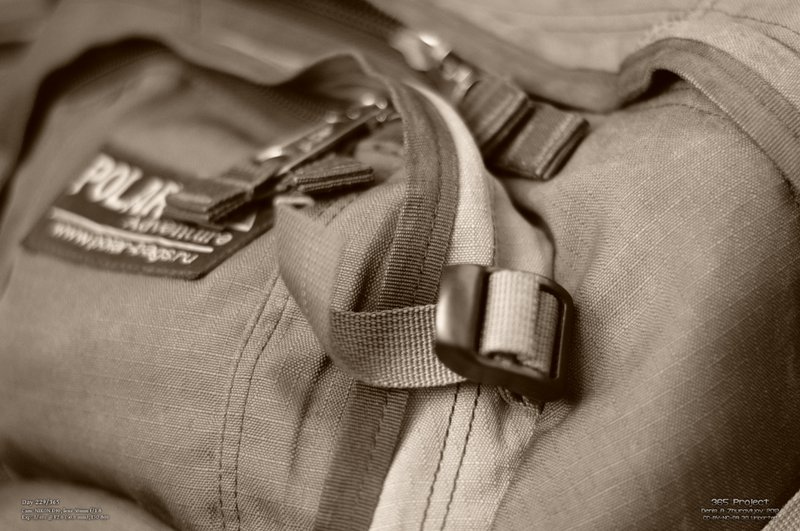 Image 365Project_Day229.jpeg