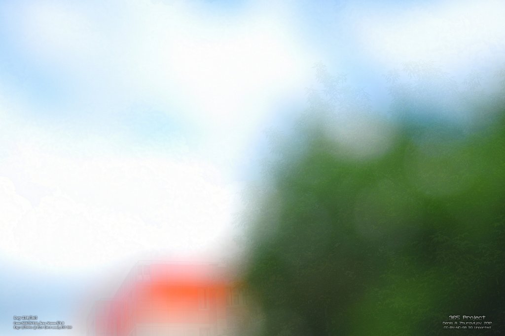 Image 365Project_Day230.jpeg