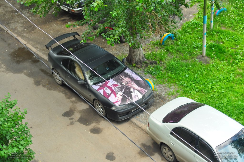 Image 365Project_Day232.jpeg