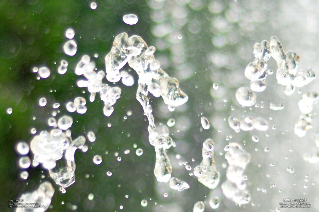 Image 365Project_Day234.jpeg