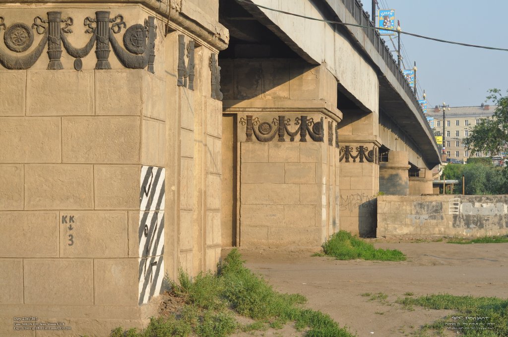 Image 365Project_Day236.jpeg