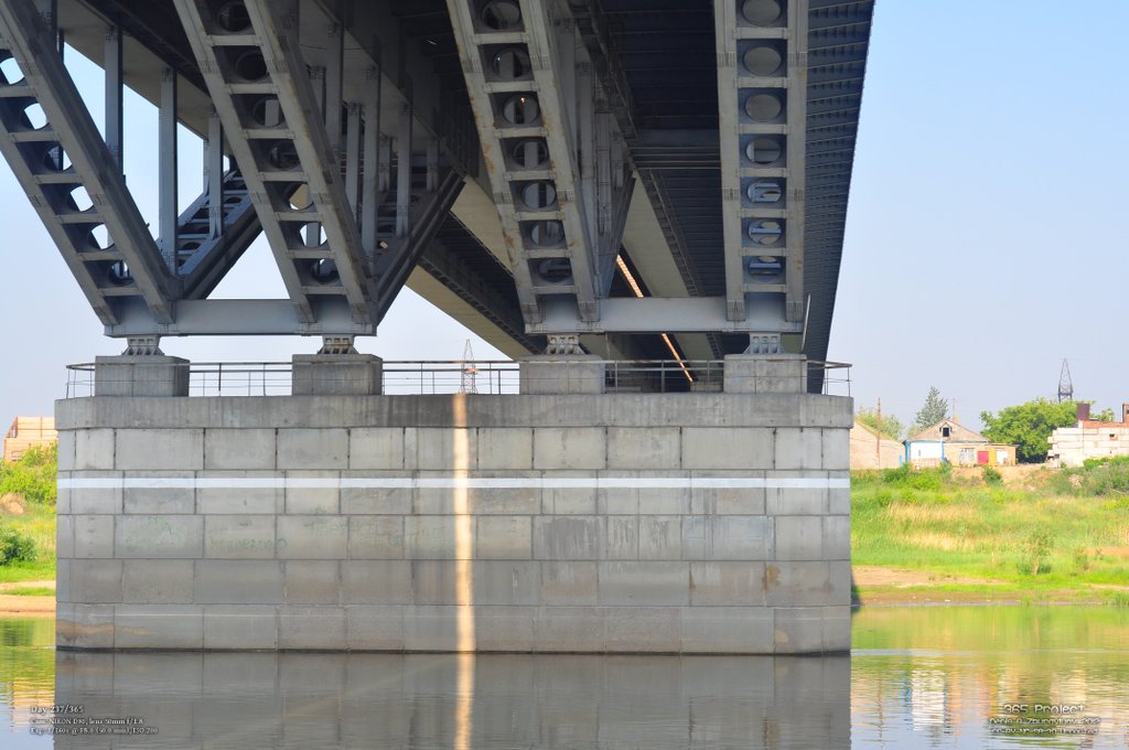 Image 365Project_Day237.jpeg