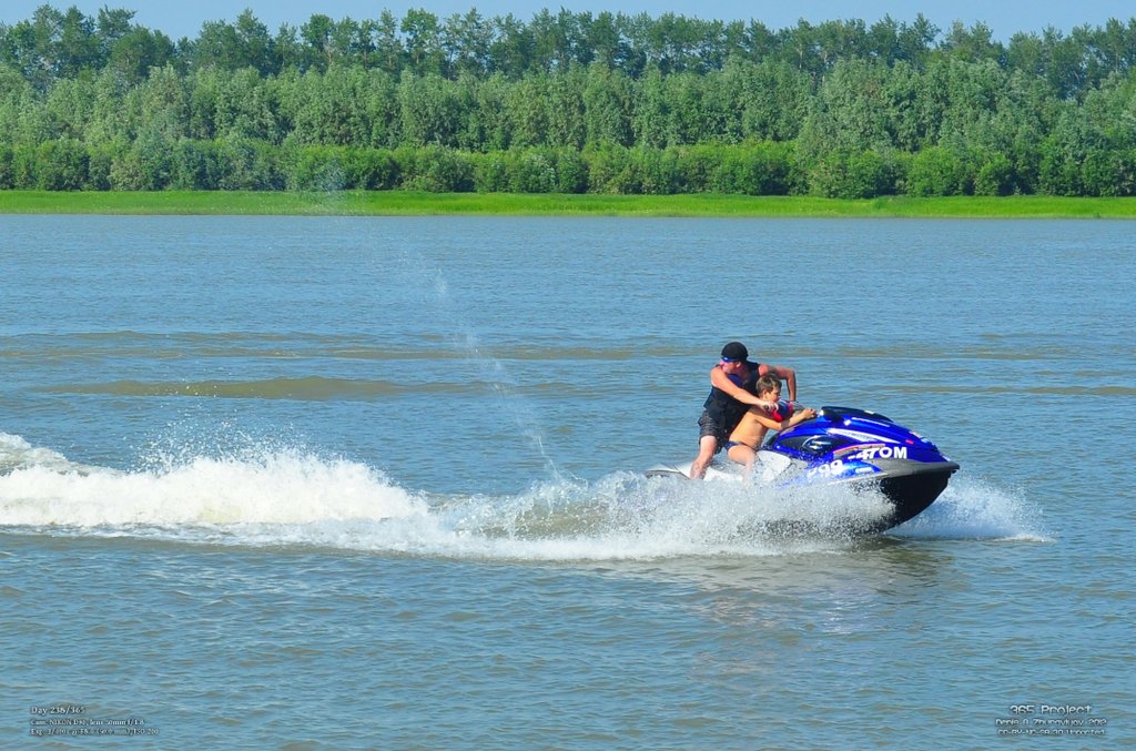 Image 365Project_Day238.jpeg