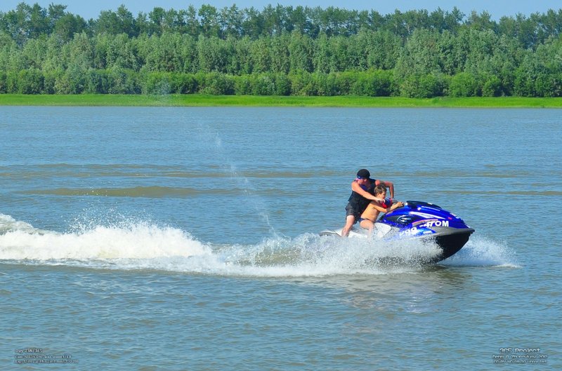 Image 365Project_Day238.jpeg