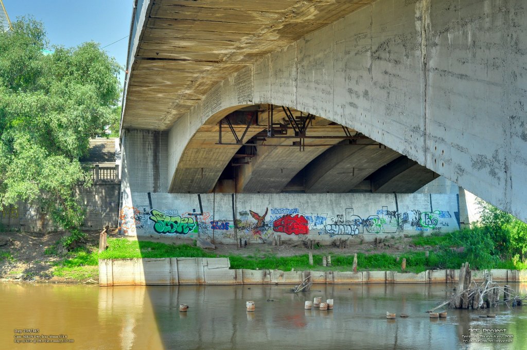 Image 365Project_Day239.jpeg