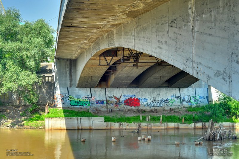 Image 365Project_Day239.jpeg