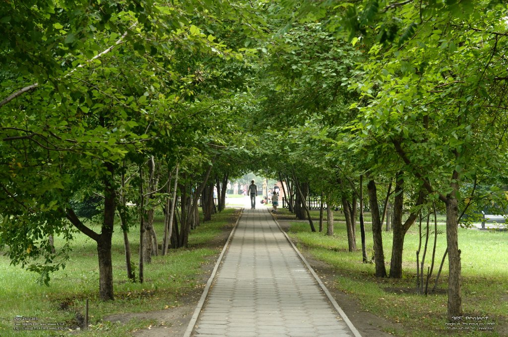 Image 365Project_Day241.jpeg