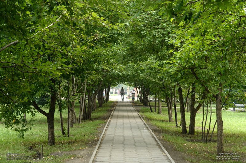 Image 365Project_Day241.jpeg