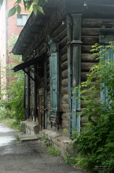 Image 365Project_Day242.jpeg