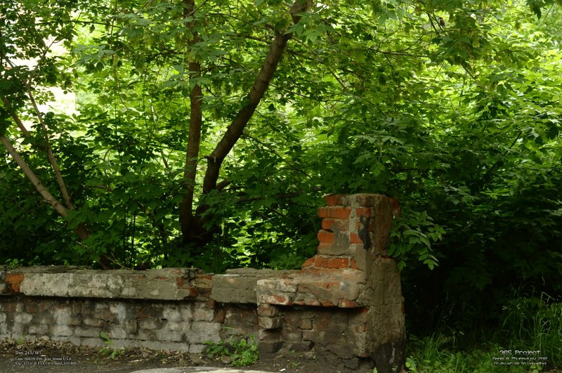 Image 365Project_Day243.jpeg