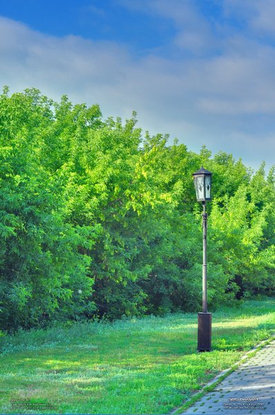 Image 365Project_Day244.jpeg