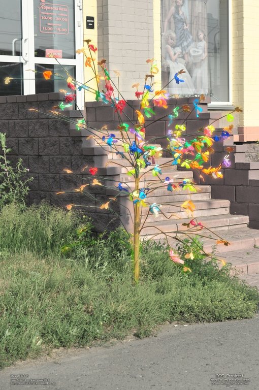 Image 365Project_Day247.jpeg