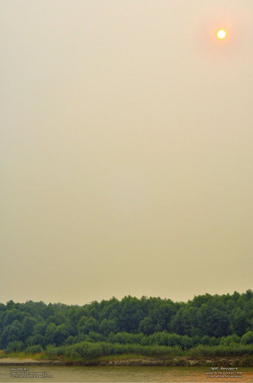 Image 365Project_Day249.jpeg