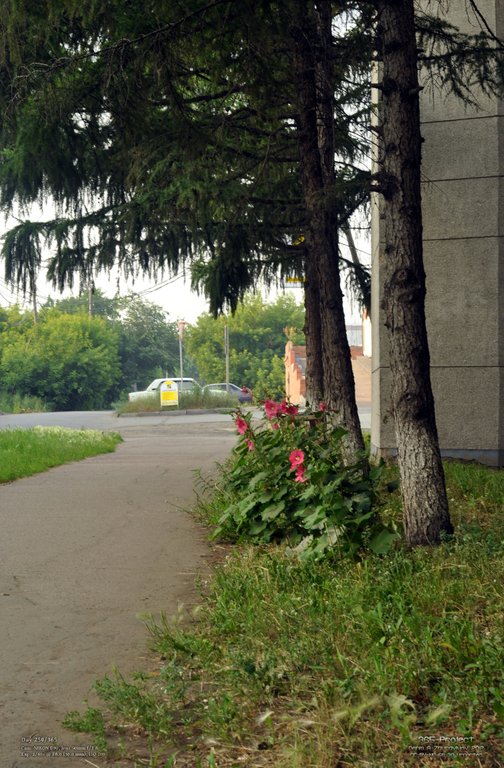 Image 365Project_Day250.jpeg