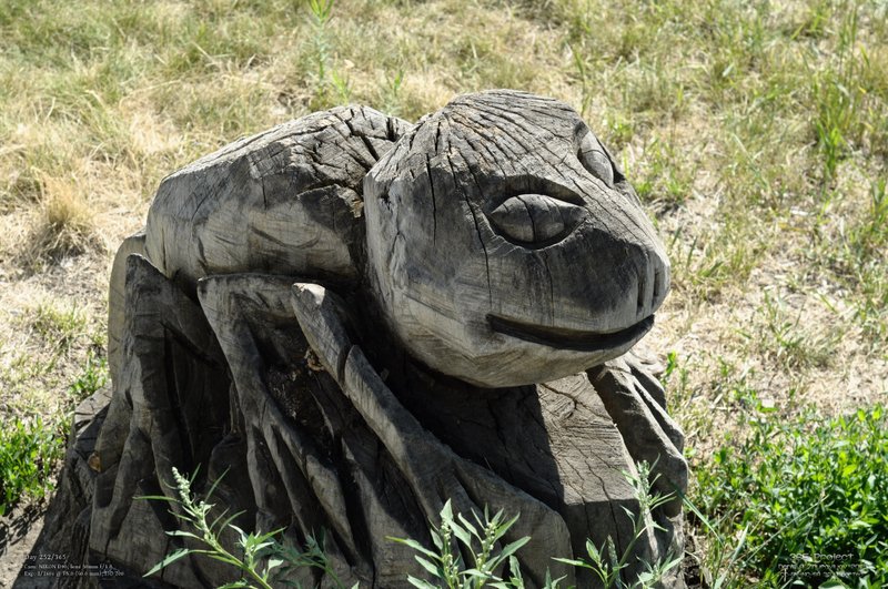 Image 365Project_Day252.jpeg