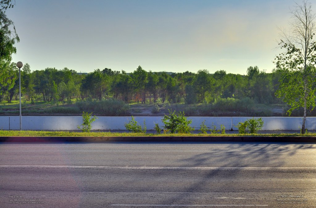 Image 365Project_Day254.jpeg