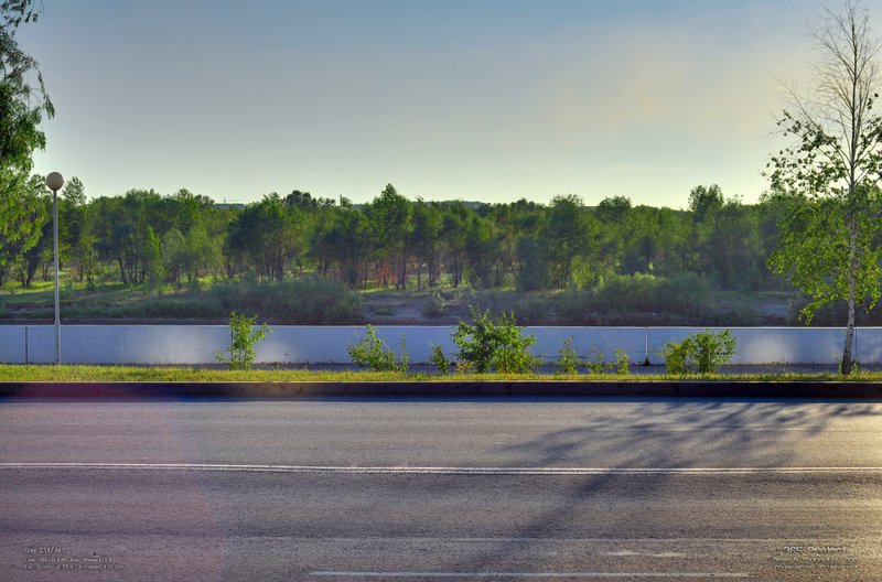 Image 365Project_Day254.jpeg