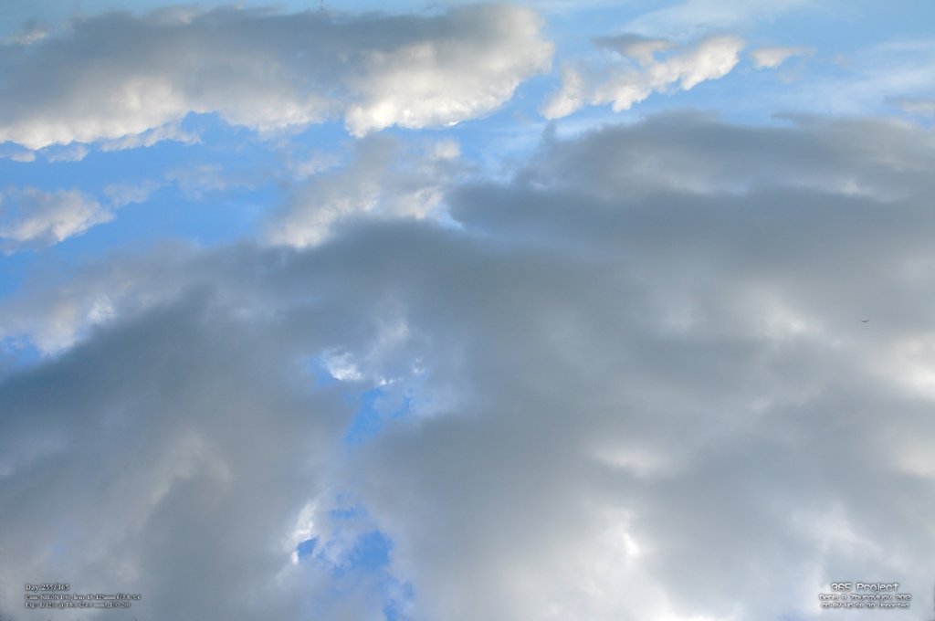 Image 365Project_Day255.jpeg