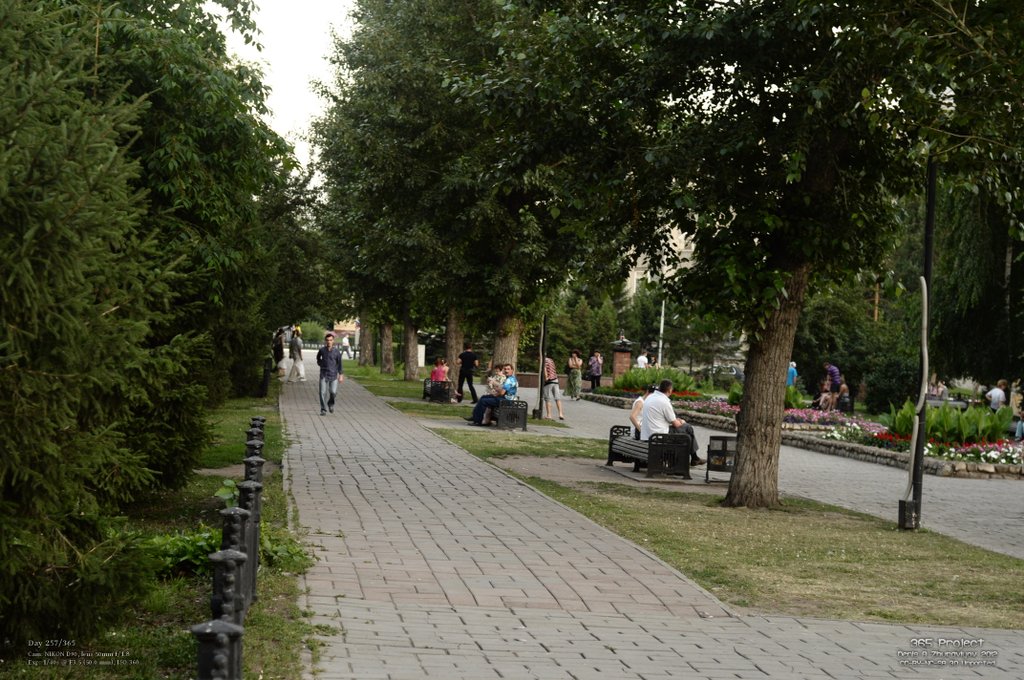 Image 365Project_Day257.jpeg