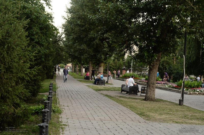 Image 365Project_Day257.jpeg