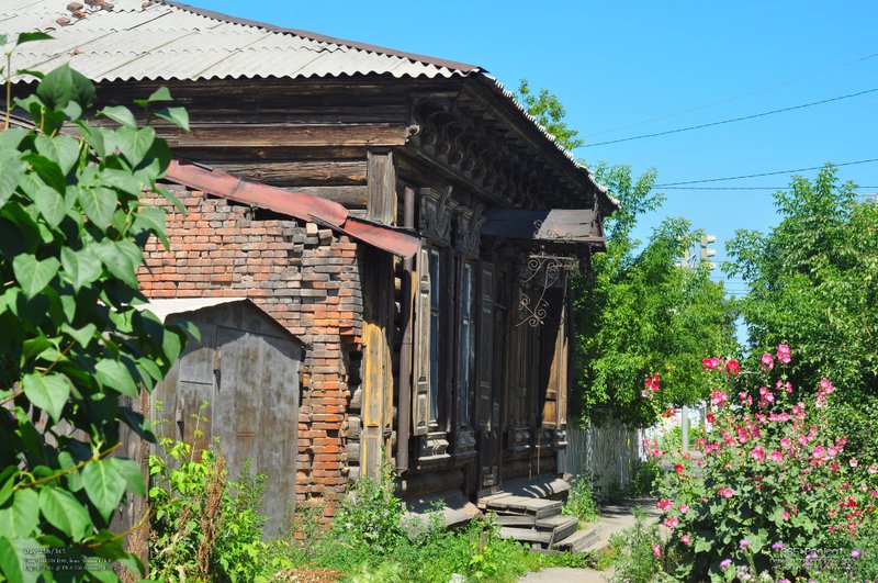 Image 365Project_Day258.jpeg