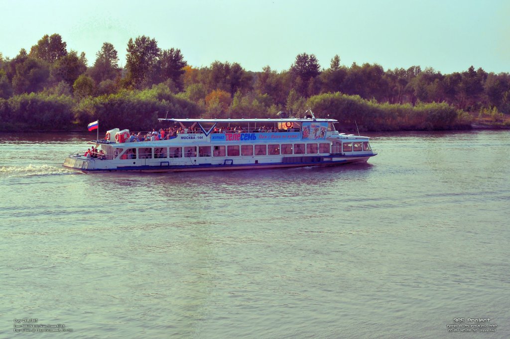 Image 365Project_Day260.jpeg