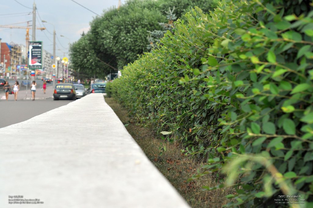 Image 365Project_Day261.jpeg