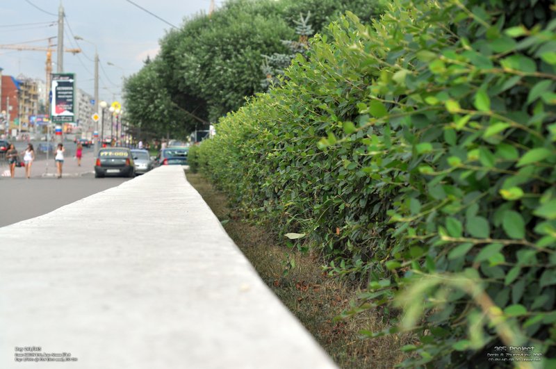 Image 365Project_Day261.jpeg