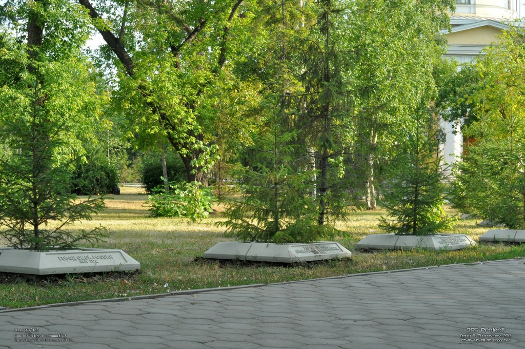 Image 365Project_Day263.jpeg