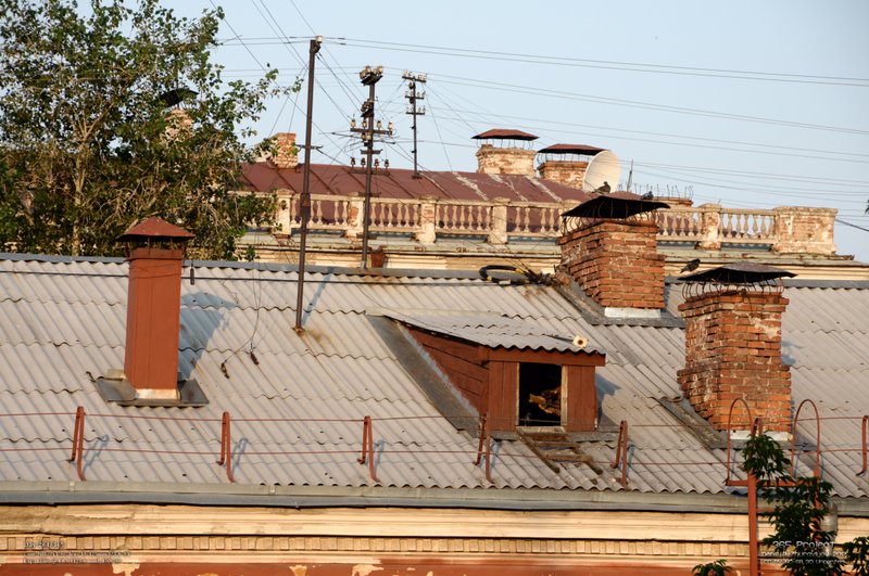 Image 365Project_Day264.jpeg