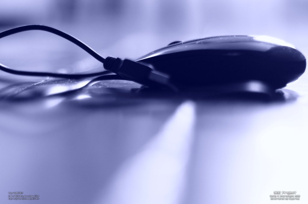 Image 365Project_Day268.jpeg