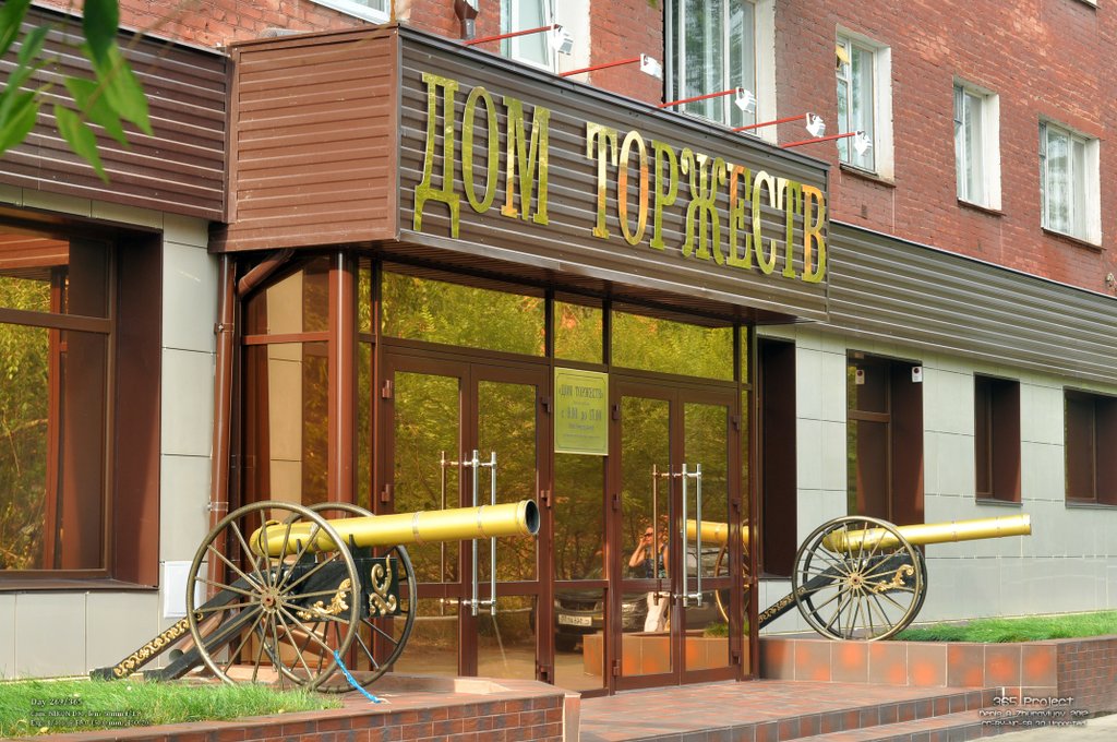 Image 365Project_Day269.jpeg