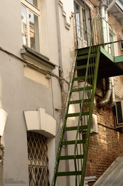 Image 365Project_Day270.jpeg