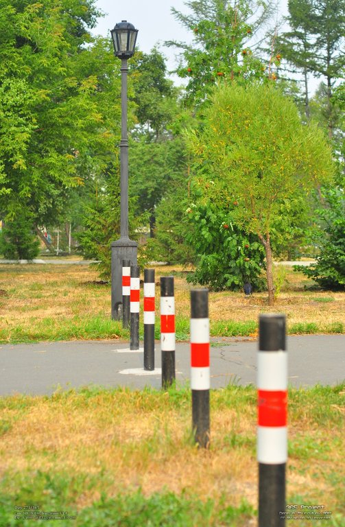 Image 365Project_Day271.jpeg