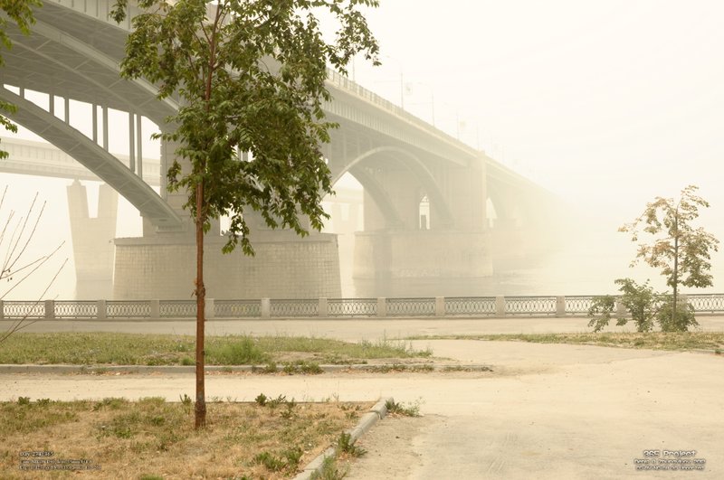 Image 365Project_Day273.jpeg