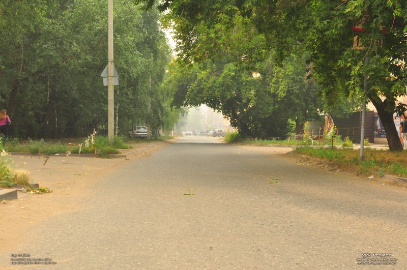 Image 365Project_Day274.jpeg