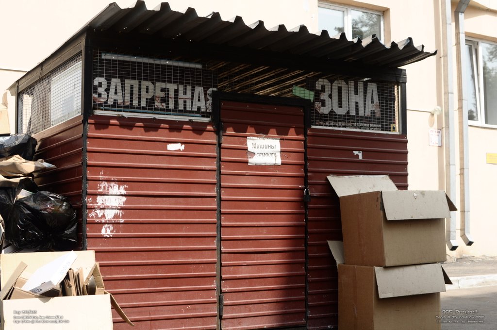 Image 365Project_Day275.jpeg