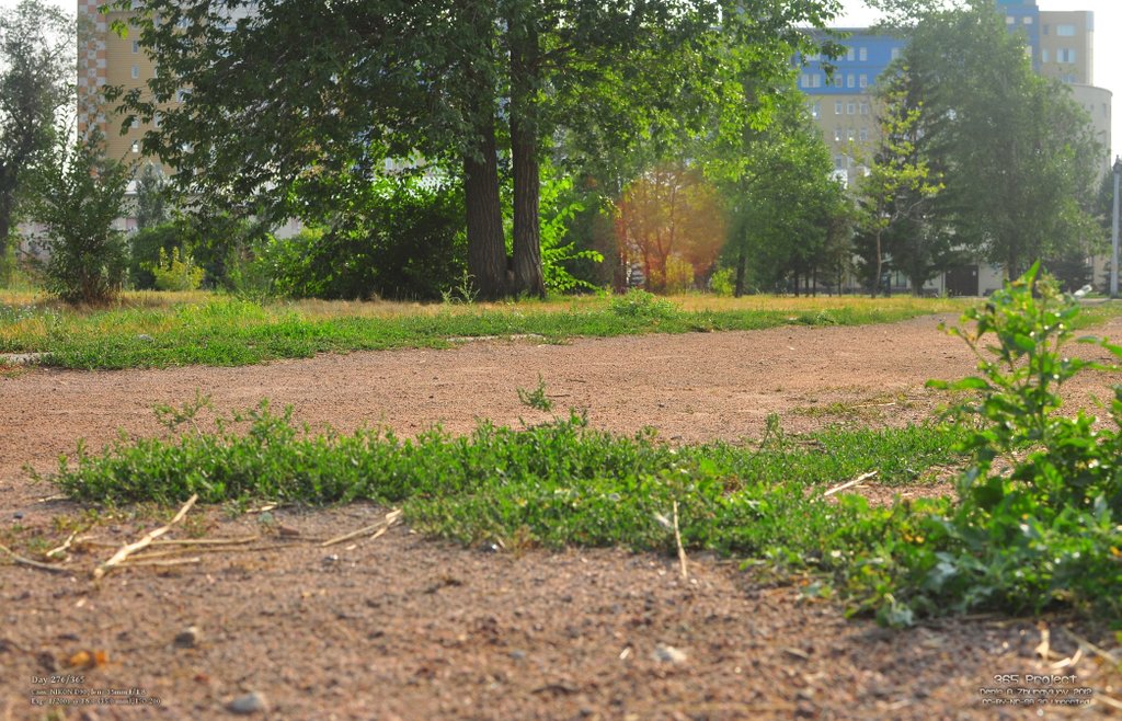 Image 365Project_Day276.jpeg