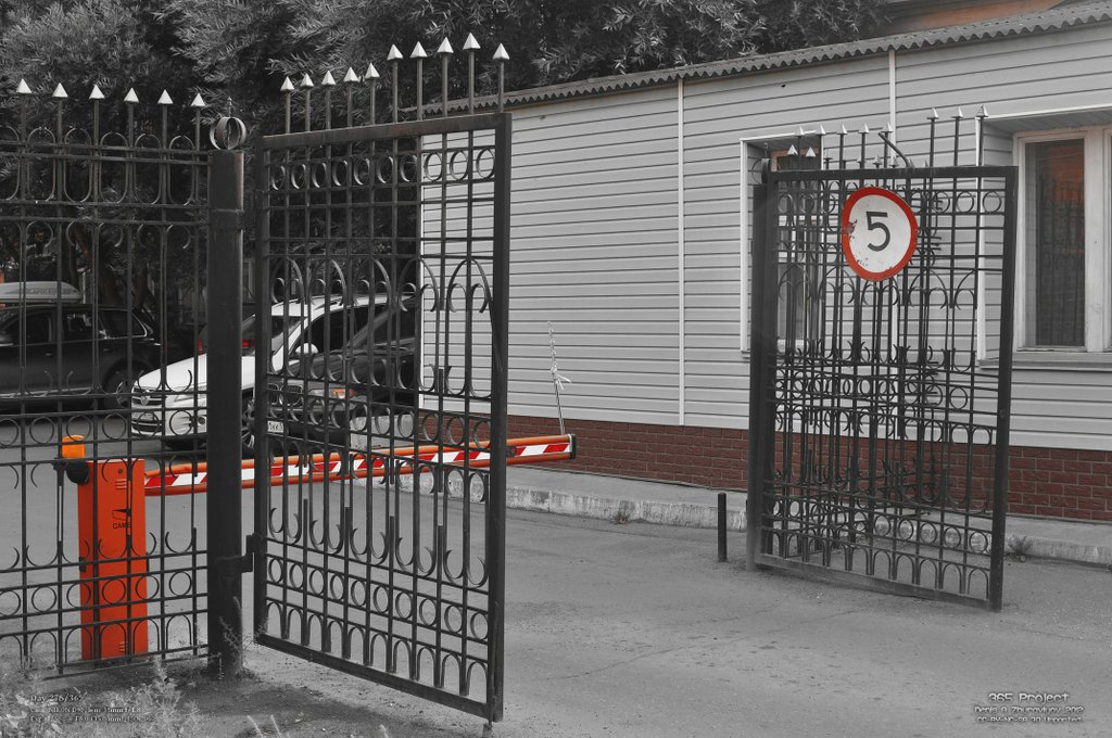 Image 365Project_Day278.jpeg